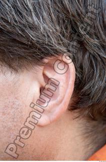 Ear texture of street references 445 0001